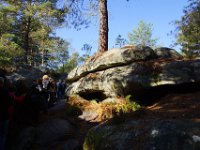 2016-10-09 Les gorges d Apremont 0069